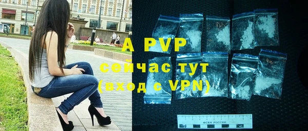 дживик Навашино