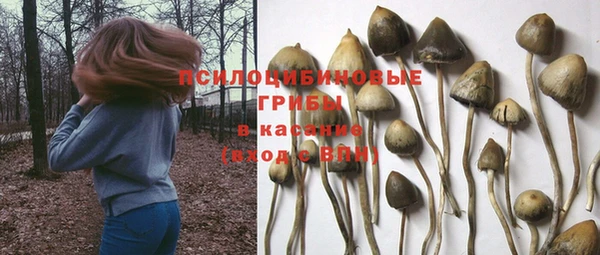 герыч Алзамай