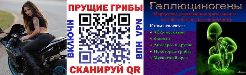 Галлюциногенные грибы ЛСД  Железногорск 